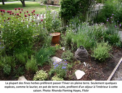 Fines Herbes Plus Heureuses Au Jardin Jardinier Paresseux