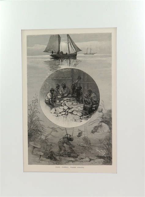 1886 Wood Engraving Pearl Fishery Torres Strait