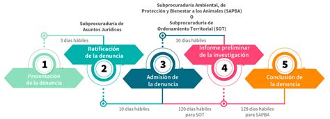 Procedimiento De La Atención De La Denuncia