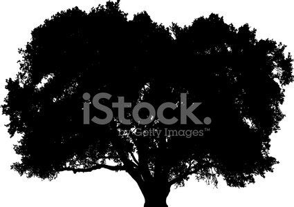 Big Oak Tree Silhouette Stock Vector | Royalty-Free | FreeImages