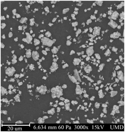 Sem Image Of The Ni Catalyst Powder Used In This Work The Powder Size