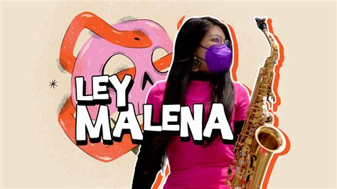 Qu Es La Nueva Ley Malena