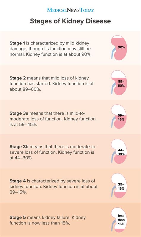 pathophysiology of end stage renal disease: end stage renal failure – NUUU