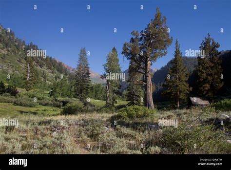 Mineral King Valley Part Of Sequoia National Park California Usa