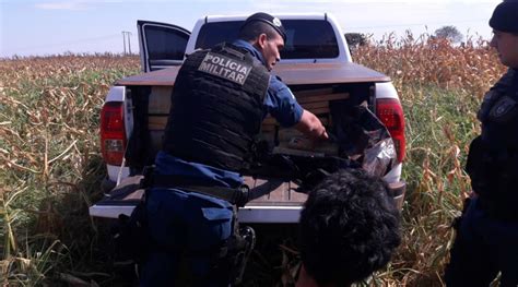 Traficante Abandona Caminhonete 1 Tonelada De Maconha E Tenta