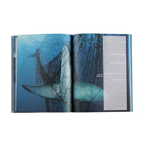 Save Our Seas Magazine Issue 06 Help Save Our Seas