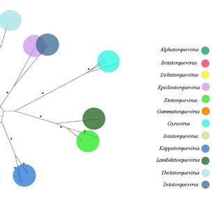 Maximum Likelihood Tree Based On ORF 1 Nucleotide Sequence 1 4 Kb Of