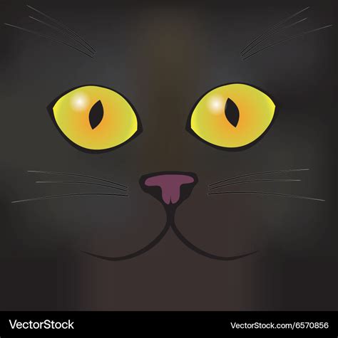 Eyes of a black cat Royalty Free Vector Image - VectorStock