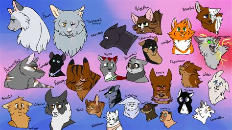 Warrior Cats Ocs By Floatyy On Deviantart