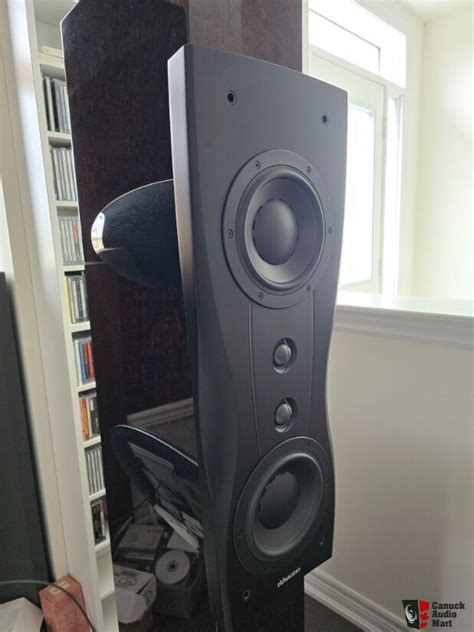 Dynaudio Confidence C Platinum Photo Canuck Audio Mart