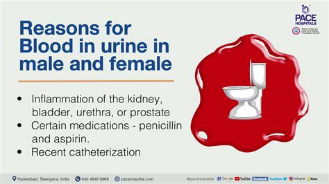 Blood In Urine Hematuria Causes Symptoms Risk Factors And