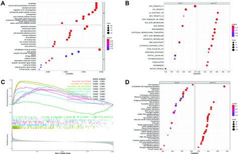 Gene Set Enrichment Analysis Between Gihcg High And Low Expression Download Scientific Diagram