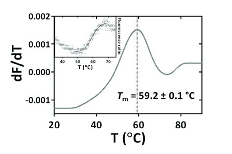 Thermal Stability Of The HScK1peptide Thermal Denaturation Profile Of