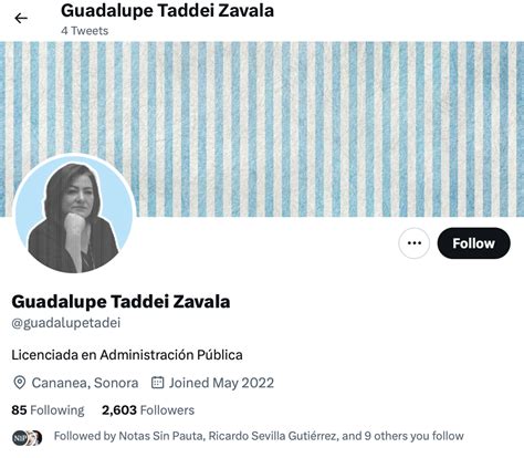 Ante Cuentas Fake INE Aclara Que Guadalupe Taddei No Tiene Redes