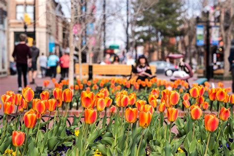 Visit | Downtown Boulder Photo Gallery | Downtown Boulder, CO