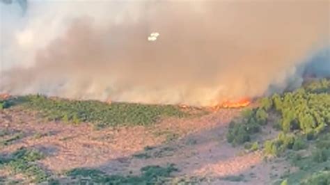 Incendio En La Reserva Ecológica Los Bomberos Lograron Controlar El Fuego Que Se Reactivó En La