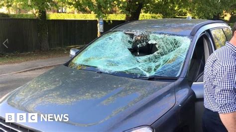 Deer Smashes Through Windscreen And Lands In Girls Lap Bbc News