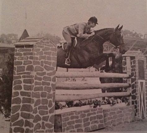 30 Vintage Devon Horse Show ideas | show horses, horses, devon