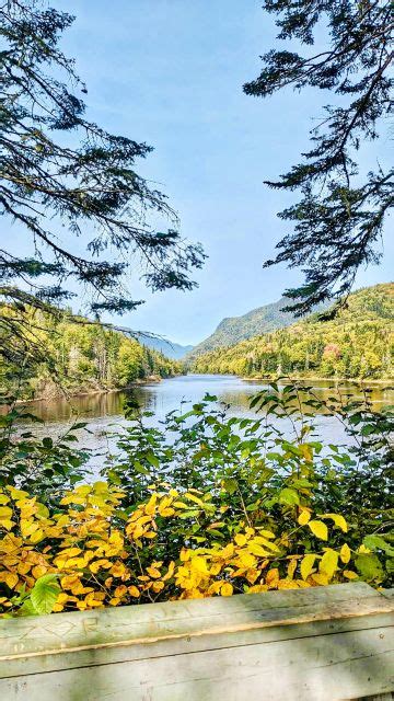 From Quebec City Jacques Cartier National Park Hiking Tour Getyourguide