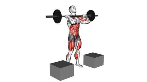 Master The Barbell Power Clean From Blocks Video Guide Tips