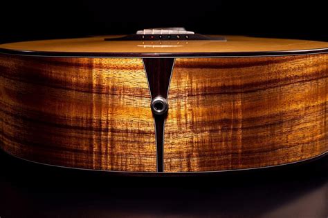 Acoustic Guitar Tonewoods — Do They Matter Insync