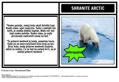 Kam Polar Bears Živo PSA Storyboard af sl examples