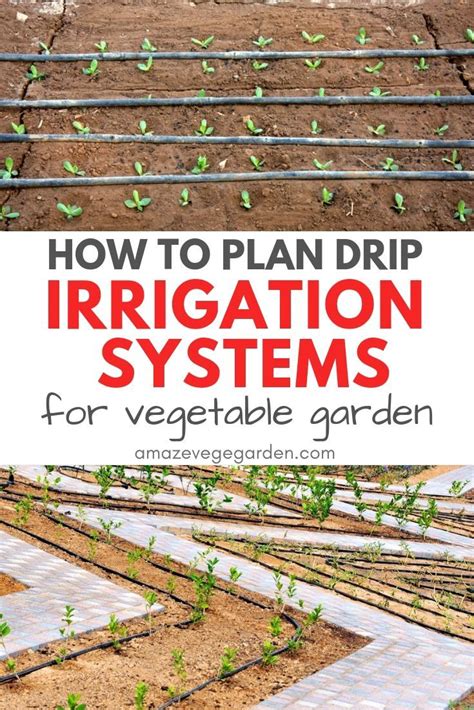 How To Plan Drip Irrigation Systems For Vegetable Garden Drip