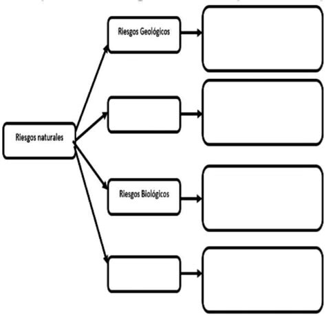 Solved Completa El Siguiente Mapa Conceptual De Riesgos Naturales