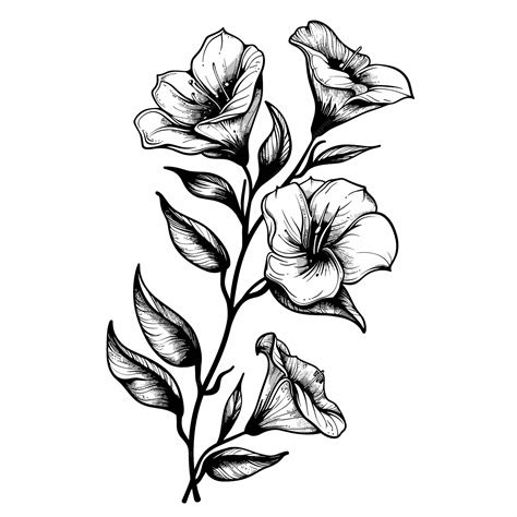 Premium Vector A Black And White Drawing Of A Flower With Three Petals