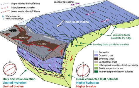 Sketch Illustrating The Link Between Spreading Faults Fault Networks