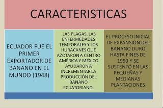 Escriba Las Principales Caracter Sticas Del Auge Bananero En Ecuador