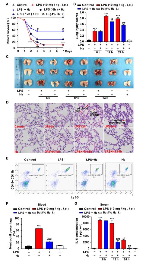 Figure From Hydrogen Attenuates Endotoxin Induced Lung Injury By