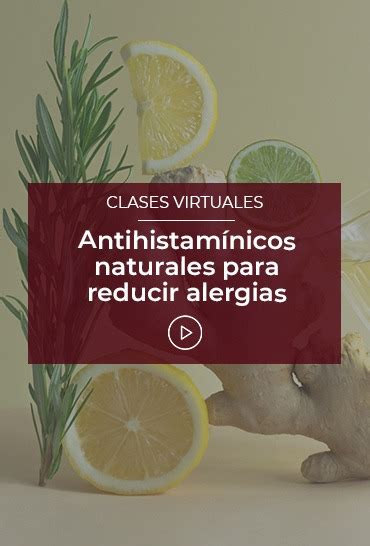 Antihistam Nicos Naturales Para Reducir Alergias Esneca Tv