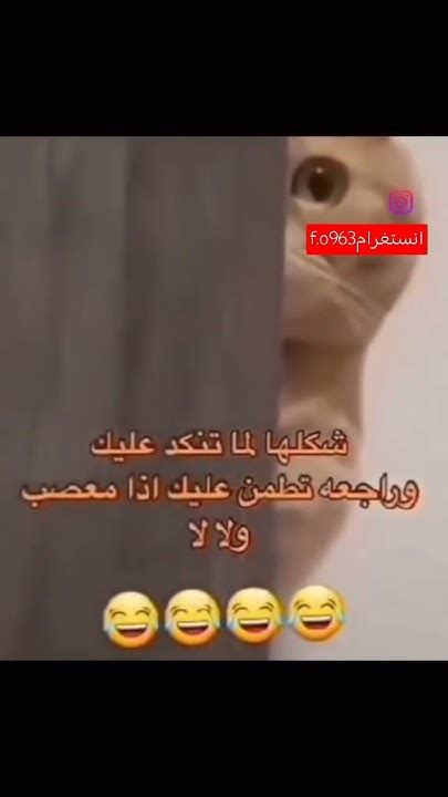 شكلها لما تنكد عليك وراجعه تطمن عنك اذا معصب ولا لا 🙂😂 Youtube