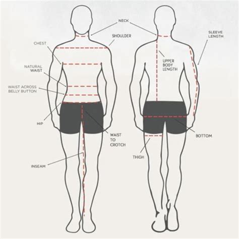 Waist To Height Ratio Calculator Fit Or Overweight