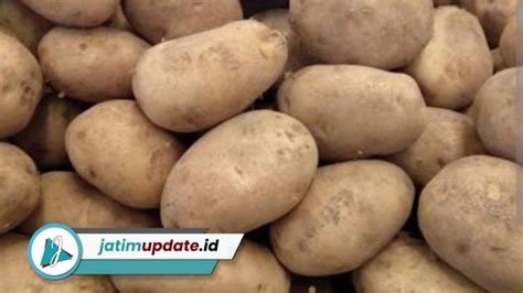 Harga Kentang Di Kota Blitar Lebih Murah Dari Tulungagung Segini