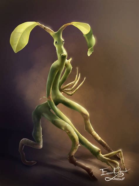 Pickett The Bowtruckle By Emmanuel Oquendo Fanart Harry Potter Mundo