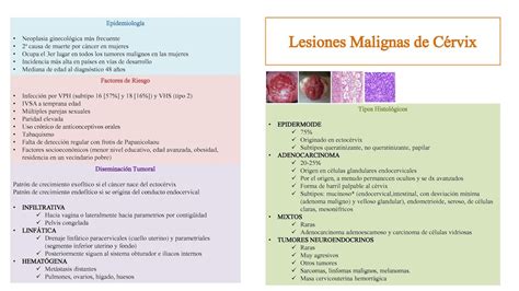 PORTAFOLIO ELECTRÓNICO DE GINECOLOGÍA Lesiones Premalignas y Malignas