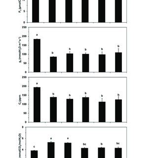 Leaf Gas Exchange Parameters Net Photosynthesis Rate Pn Stomatal