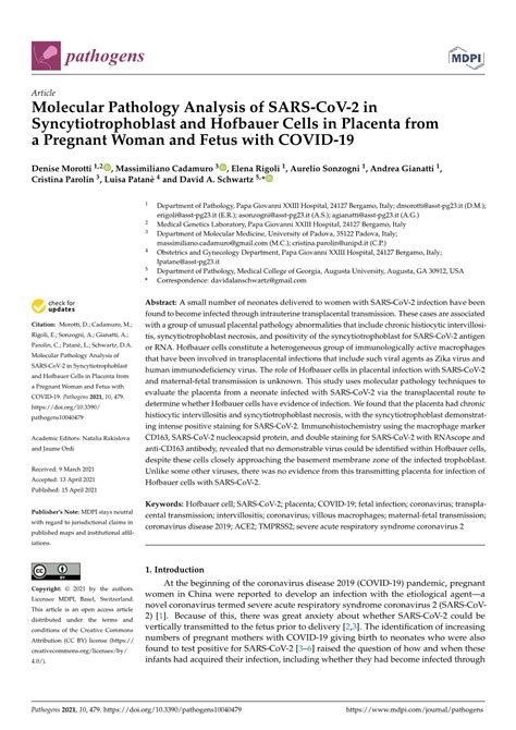 Molecular Pathology Analysis of SARS-Cov-2 in Syncytiotrophoblast and ...