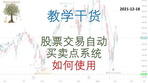 美股bigtreesignal 股票交易自动买卖点系统 Youtube