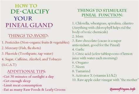 Foods That Decalcify Pineal Gland The Pineal Gland Diet How To Decalcify Your Pineal Gland