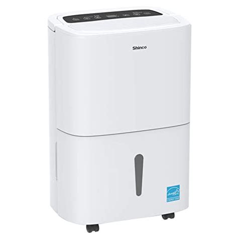 Best Dehumidifier for Basement 2021 - BestDehumidifierChoice.com