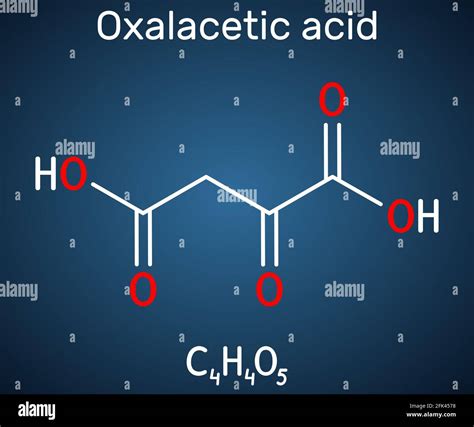 Oxaloacetic Acid Oxalacetic Acid Oaa Oxaloacetate Molecule It Is