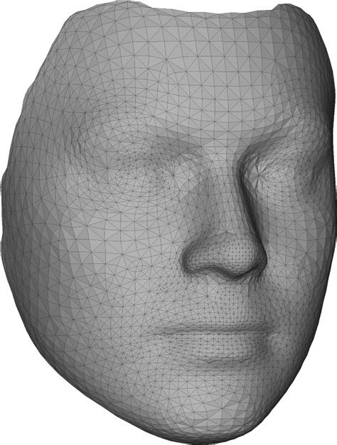 Download 3 D Model Face Wireframe