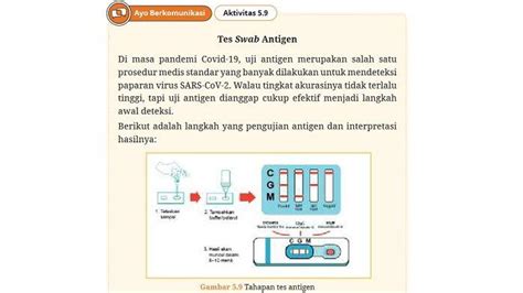 Kunci Jawaban Biologi Kelas Halaman Kurikulum Merdeka Aktivitas