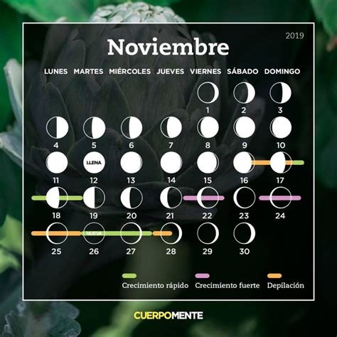 Calendario Lunar De Noviembre 2019 Calendario Lunar Calendario