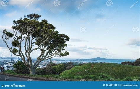 Tree on Top of Mount Eden editorial image. Image of skyline - 136039180