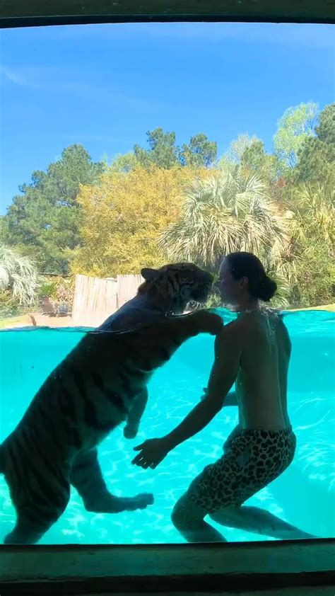 a man and a tiger are in the water