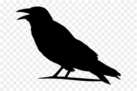 Crow Clip Art At Clker Com Vector Clip Art Online Royalty Outline